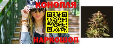 мдпв Нальчик