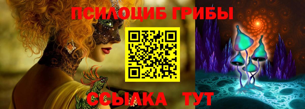 Псилоцибиновые грибы GOLDEN TEACHER Северобайкальск