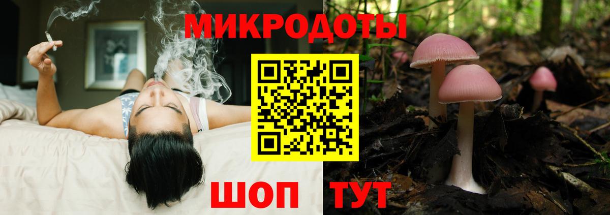 Галлюциногенные грибы GOLDEN TEACHER  Псилоцибиновые грибы Cubensis  Вход с VPN  Северобайкальск 