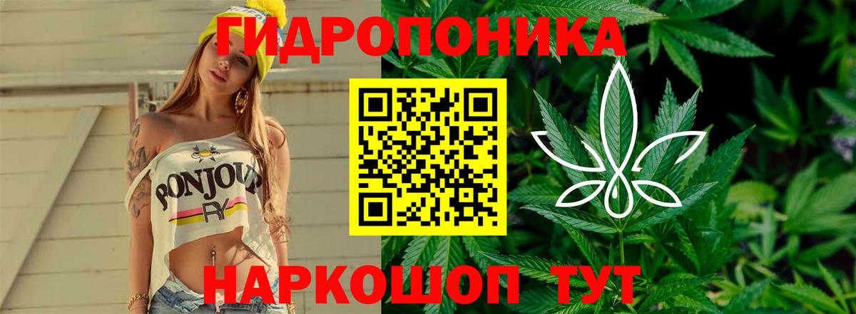Северобайкальск  Марихуана конопля  Бошки Шишки Amnesia  Шишки марихуана LSD WEED  Вход с VPN 